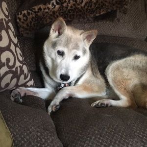 Meet your Posher, Annalee